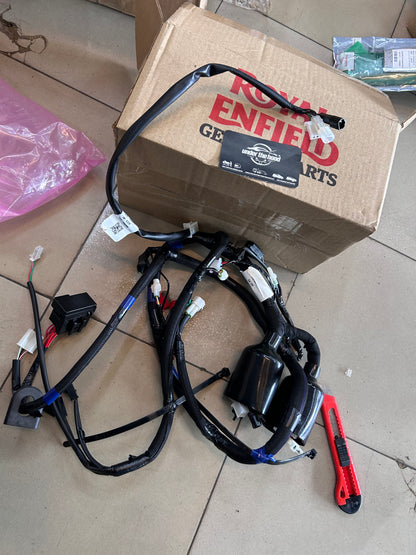 Royal Enfield Thunderbird 350 Main Cable & Tail Light Harness Kit 888315 | BS3 Digital Meter 2014–2015