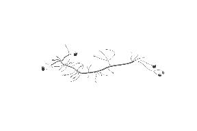 Royal Enfield RAC00369/A main wiring harness Bullet 350 BS6