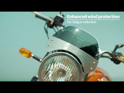 OEM RE Tinted Short Flyscreen 1990413 detail view